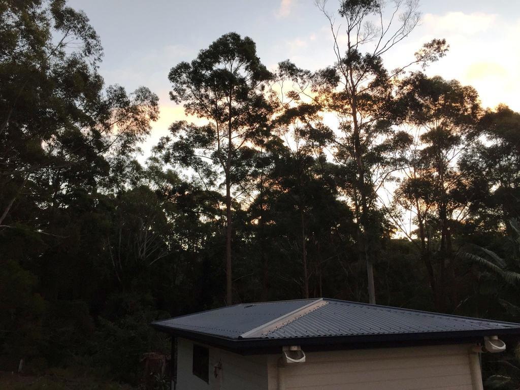 Mapleton Cabins & Caravan Park Экстерьер фото